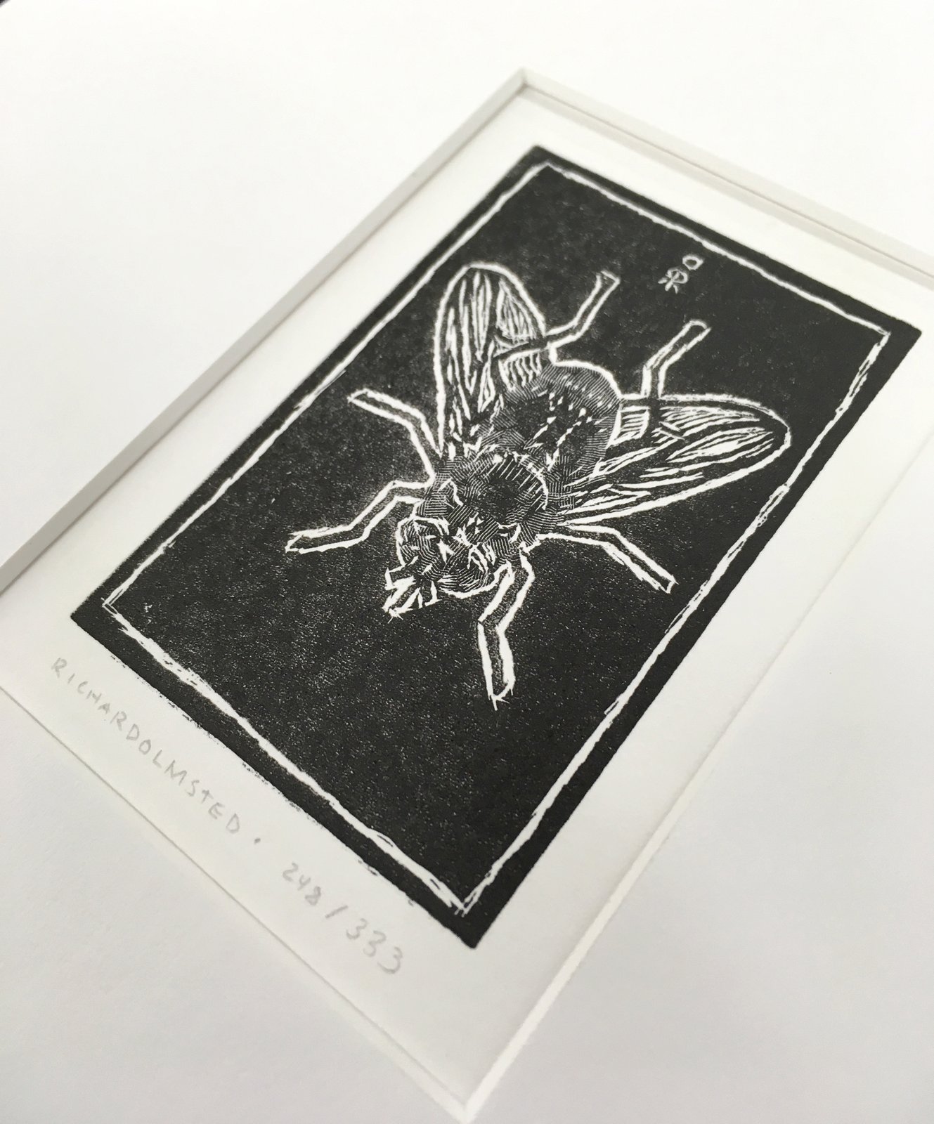【Edition.10】Fly フライ 直書サイン入り artwork richard_olmsted_close+up_fly.